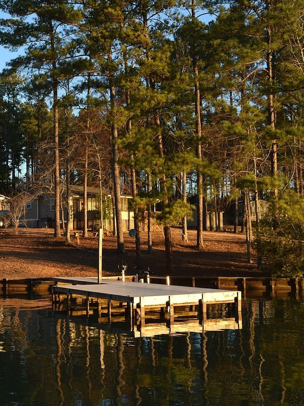 The Seasonal Rental